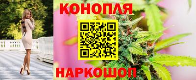 скорость Будённовск