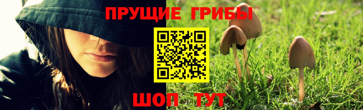 Стрежевой  купить наркотики сайты  Вход с VPN  Галлюциногенные грибы прущие грибы 